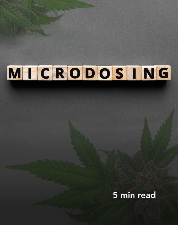 Microdosing CBD
