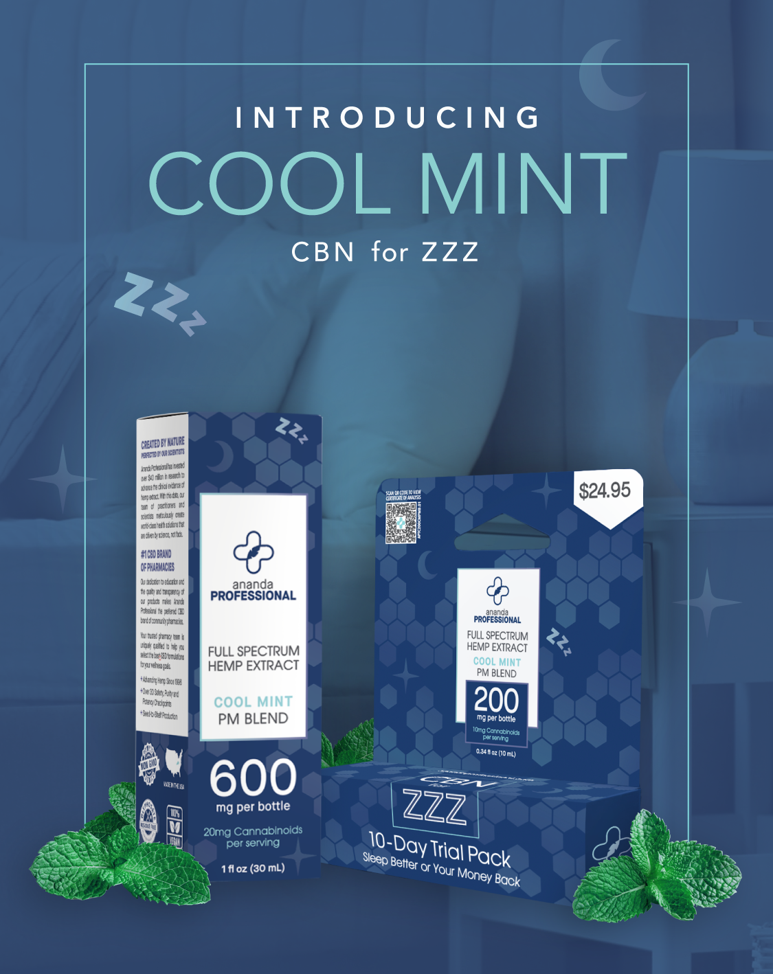 200mg Full Spectrum Tincture PM Blend - Cool Mint