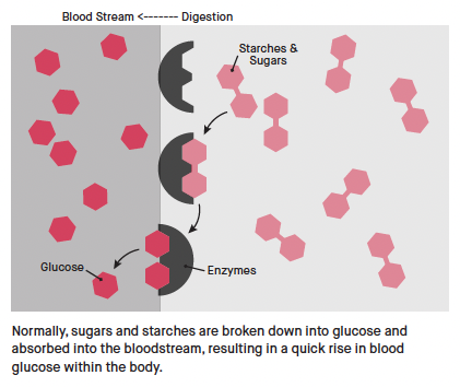 GluNOzym Gummies Peach flavor - Blood Glucose Support